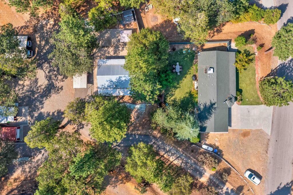Acorn Cottage - Hidden Gem In Green Heaven, Getaway To Bass Lake & Yosemite Oakhurst Esterno foto