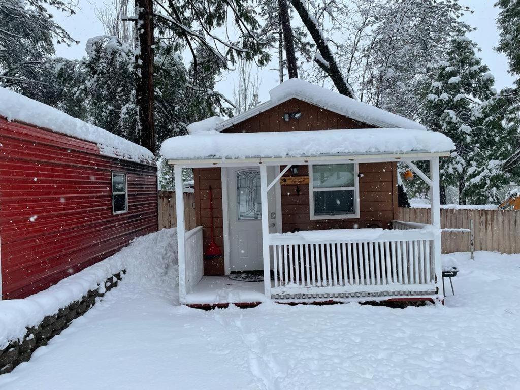 Acorn Cottage - Hidden Gem In Green Heaven, Getaway To Bass Lake & Yosemite Oakhurst Esterno foto